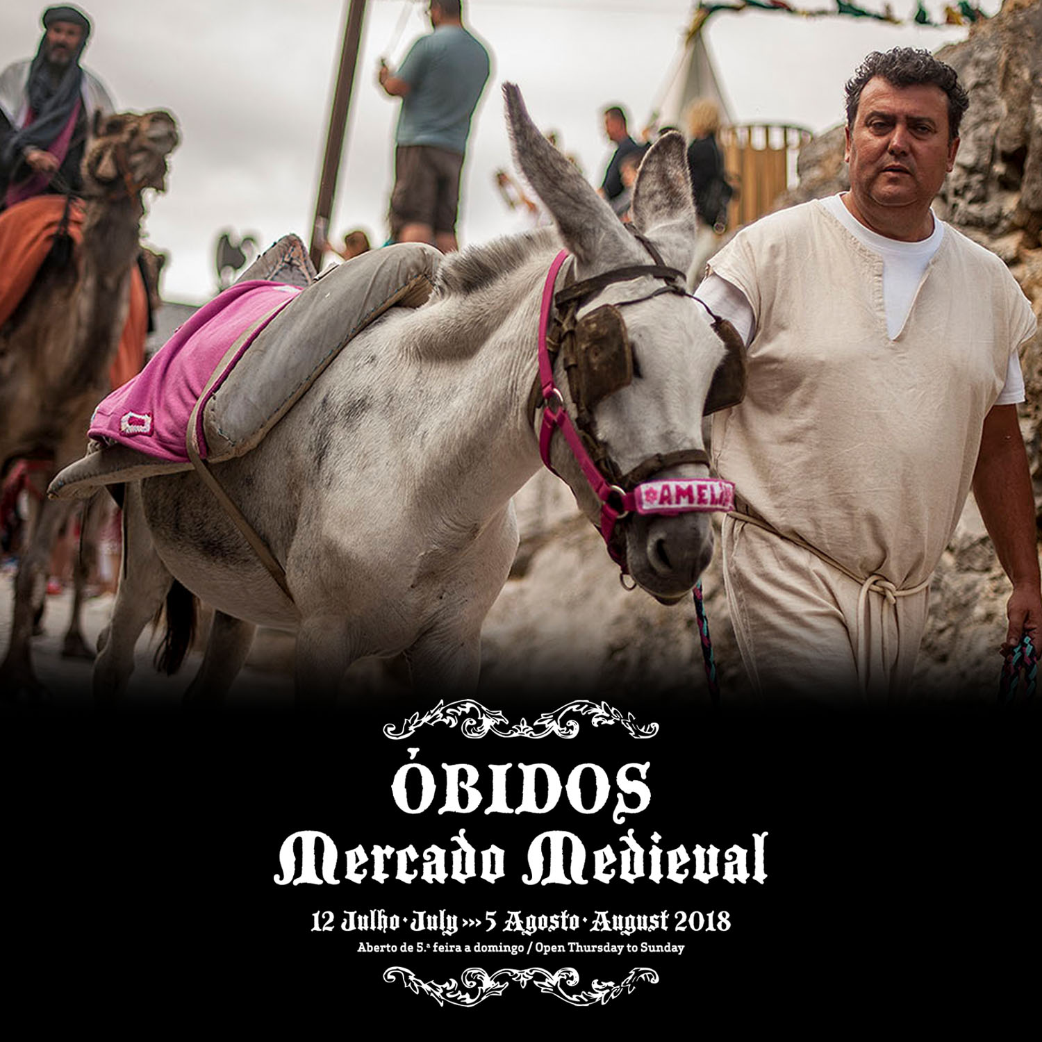Burros do Magoito